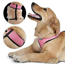 Load image into Gallery viewer, Hundegeschirr XL