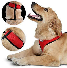 Load image into Gallery viewer, Hundegeschirr XL