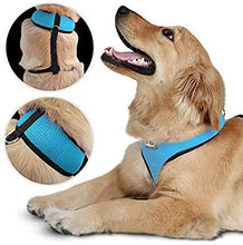 Load image into Gallery viewer, Hundegeschirr L