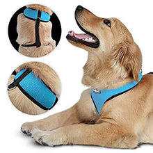 Load image into Gallery viewer, Hundegeschirr XL