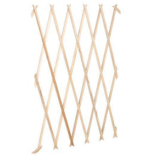 Load image into Gallery viewer, Pflanzengitter-2, 3er Set