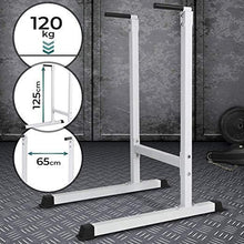 Load image into Gallery viewer, Dipstation max. 120kg