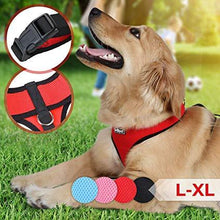 Load image into Gallery viewer, Hundegeschirr XL