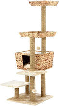 Load image into Gallery viewer, Katzenbaum Katzenkratzbaum Kratzbaeume Katzenkratzbaeume Katzenmoebel Kratzmoebel Kletterbaum Katz
