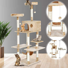 Load image into Gallery viewer, Katzenbaum Katzenkratzbaum Kratzbaeume Katzenkratzbaeume Katzenmoebel Kratzmoebel Kletterbaum Katz
